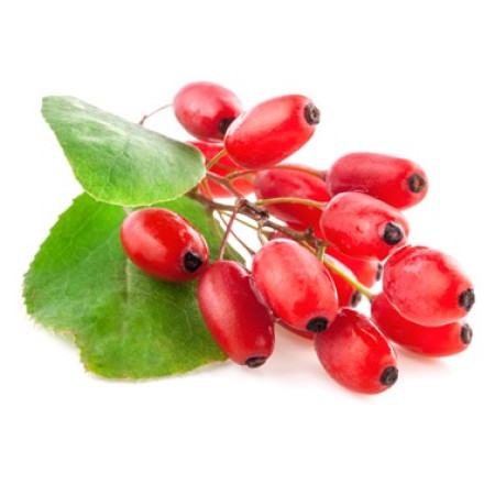 Барбарис (Exotic)