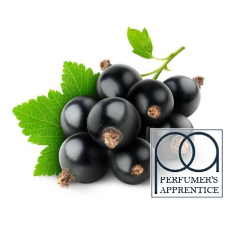 Black Currant (Чорна Смородина) - [TPA]