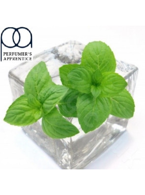 Menthol Liquid "PG" (ментол) [TPA]