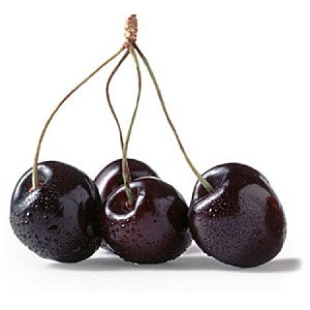 Black Cherry - [Xi'an Taima]